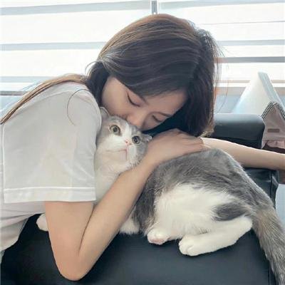 纽约战场